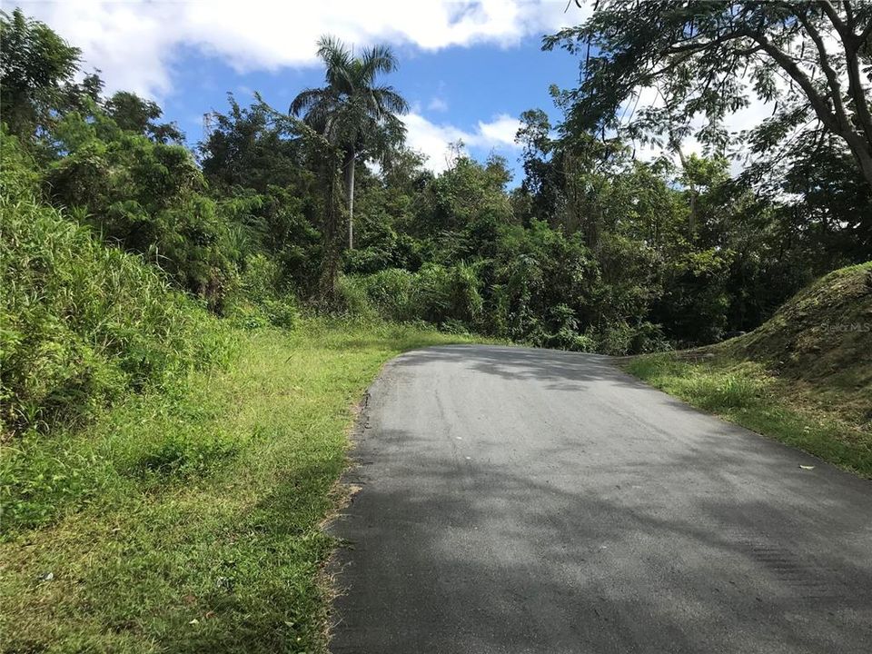 Vendido Recientemente: $44,900 (2.60 acres)