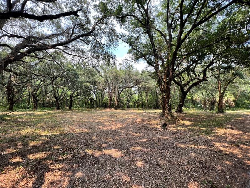 Recently Sold: $69,900 (2.52 acres)