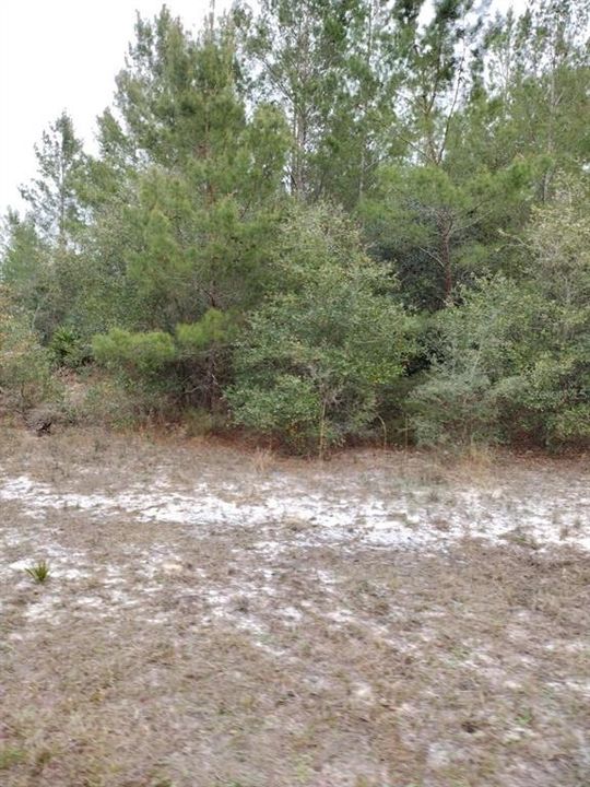 Recently Sold: $59,900 (1.15 acres)