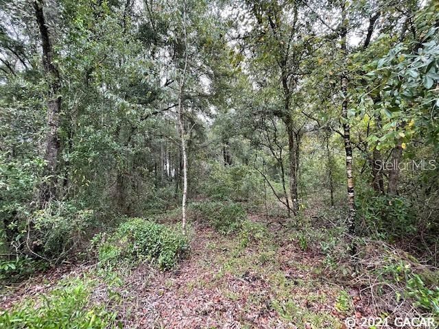 Recently Sold: $49,900 (4.04 acres)