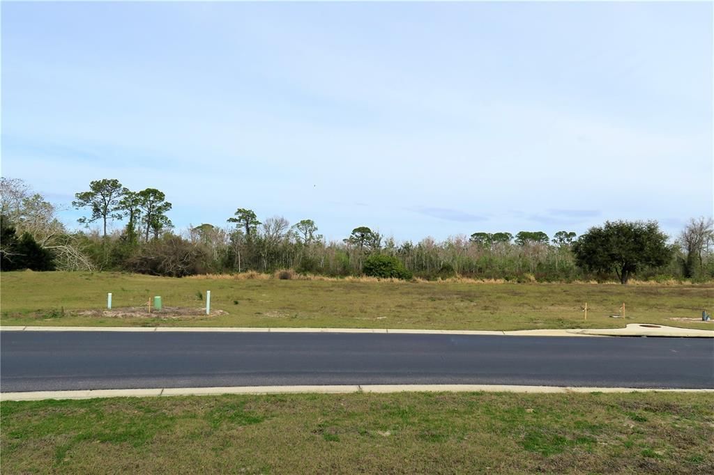 Recently Sold: $69,000 (0.29 acres)