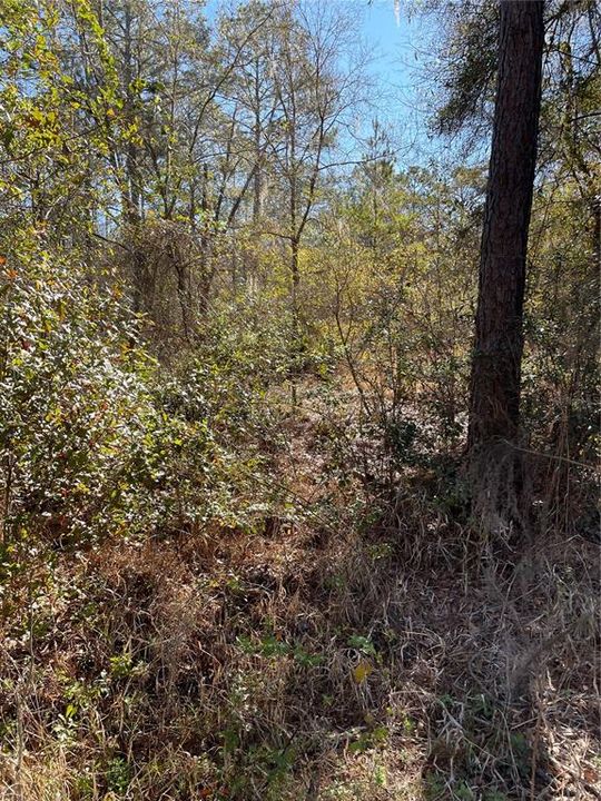 Recently Sold: $49,900 (5.76 acres)