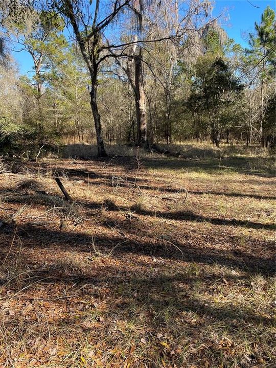 Recently Sold: $49,900 (5.76 acres)