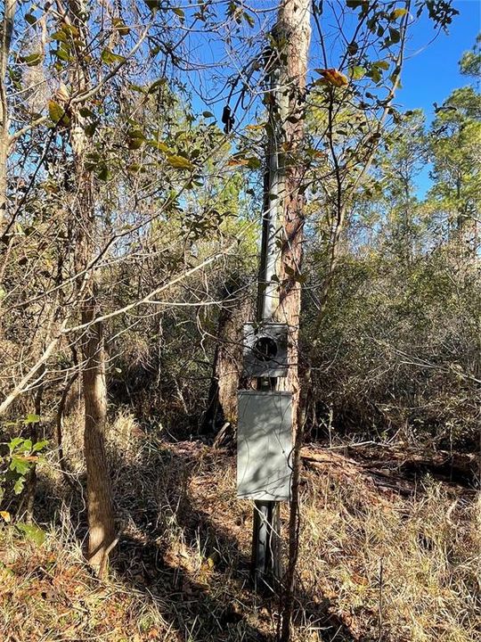 Old Power Pole