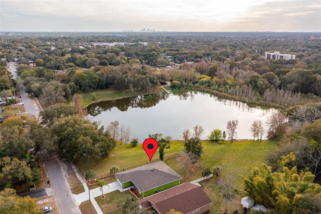Aerial-Shows Downtown Tampa in the distance; full pond and conservation view.
