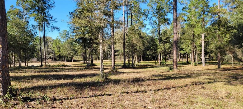 Recently Sold: $165,000 (2.43 acres)