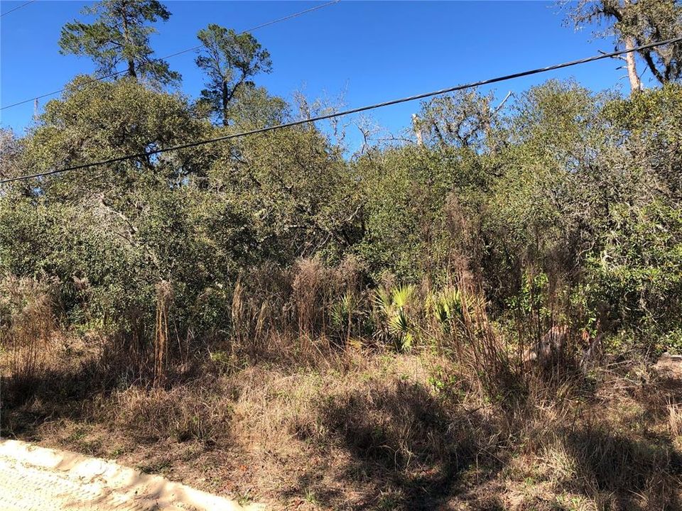 Recently Sold: $5,000 (0.28 acres)
