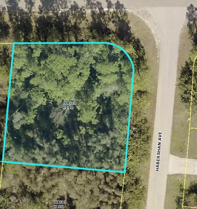 Recently Sold: $41,000 (0.35 acres)