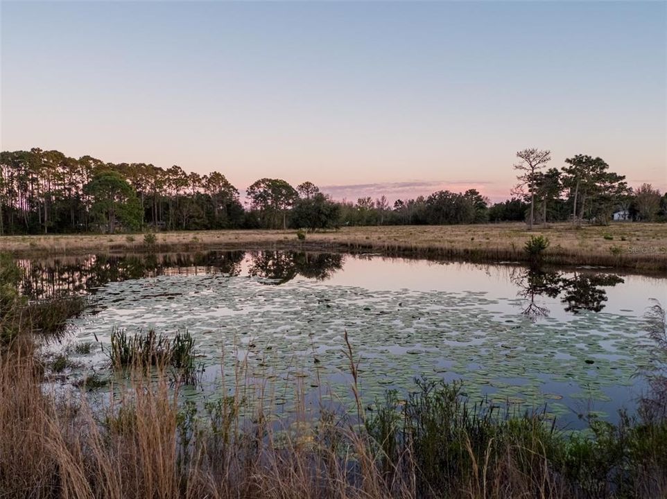 На продажу: $1,300,000 (14.52 acres)