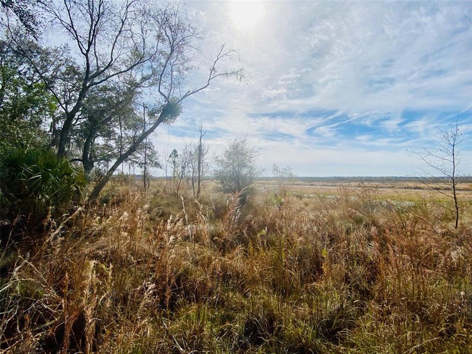 Recently Sold: $175,000 (25.00 acres)
