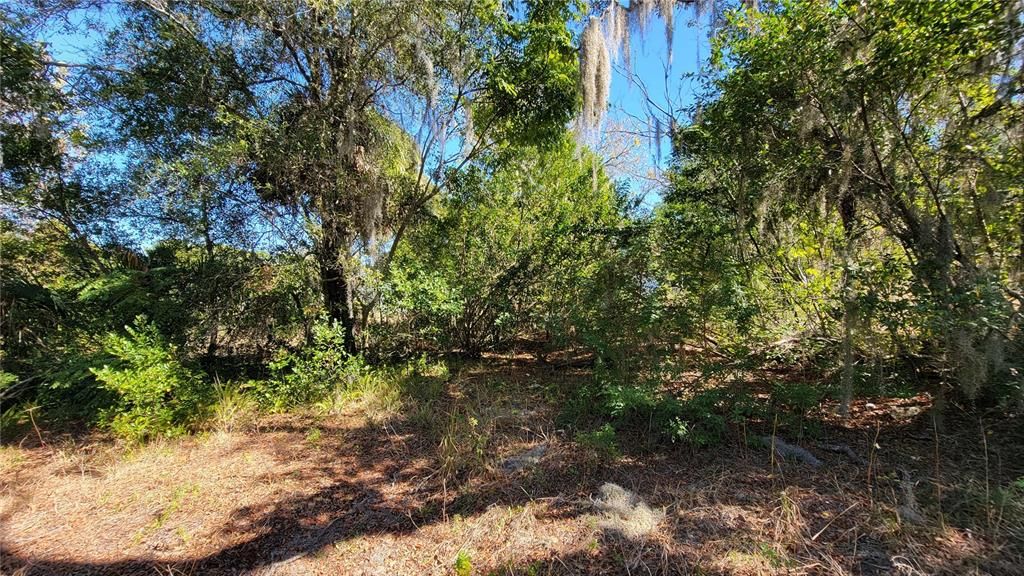 Recently Sold: $14,900 (0.16 acres)