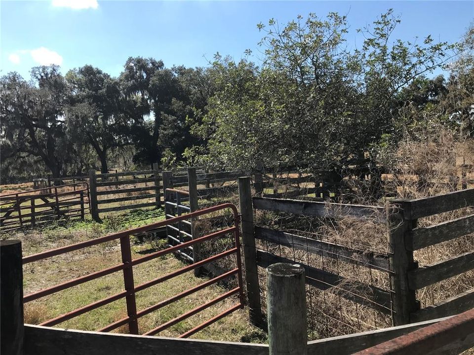 Corral on east side of property