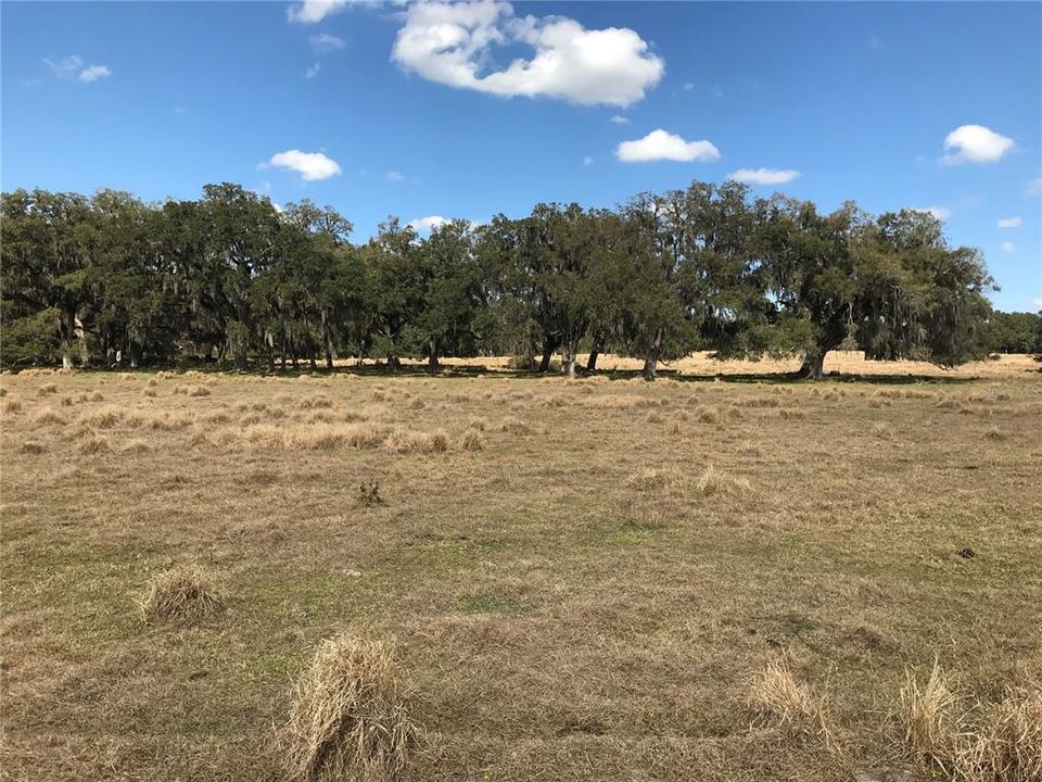 Recently Sold: $1,200,000 (39.90 acres)