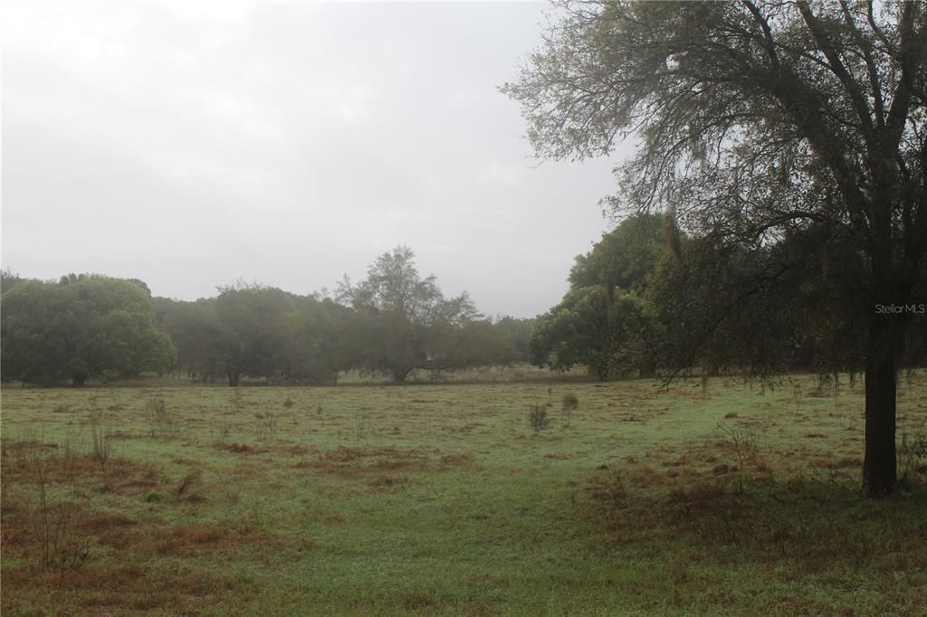 Recently Sold: $236,000 (7.87 acres)