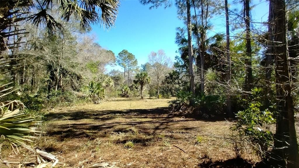 Recently Sold: $675,000 (110.28 acres)