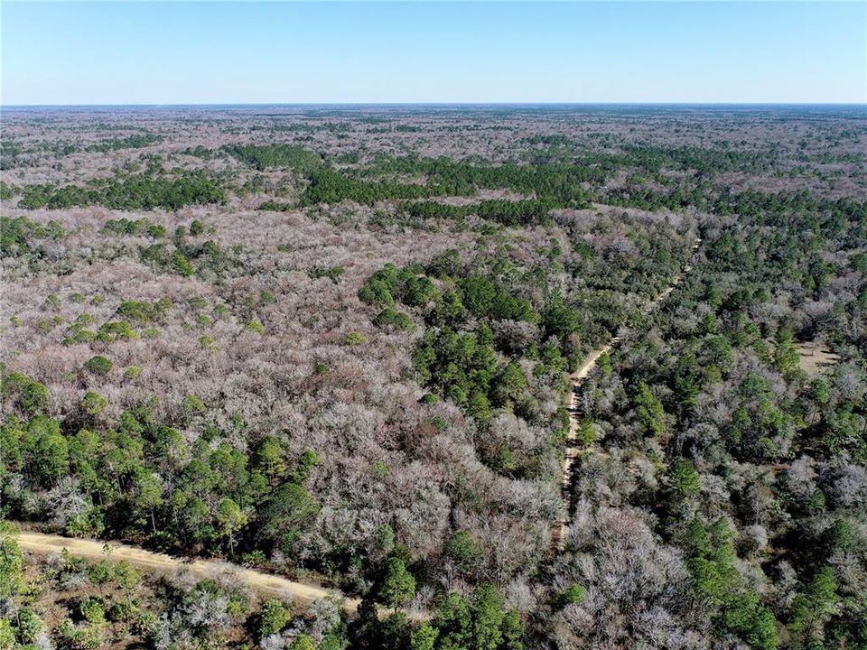 Recently Sold: $675,000 (110.28 acres)