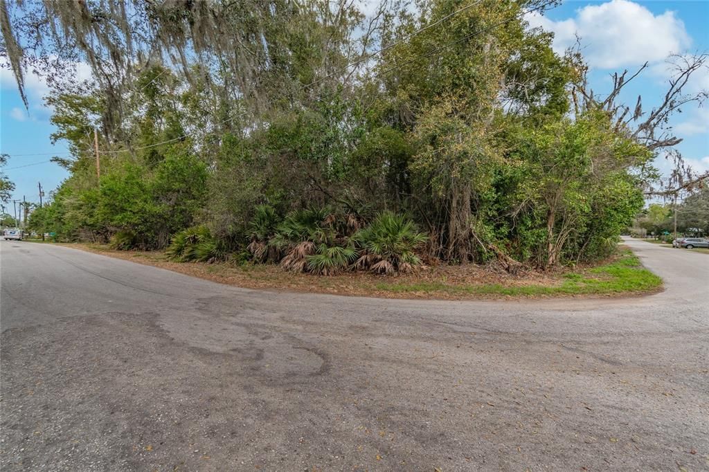 Recently Sold: $65,000 (0.29 acres)