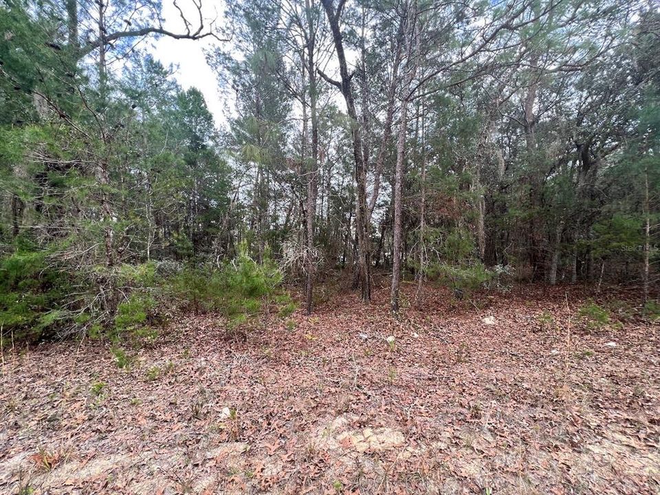 Recently Sold: $3,500 (0.22 acres)