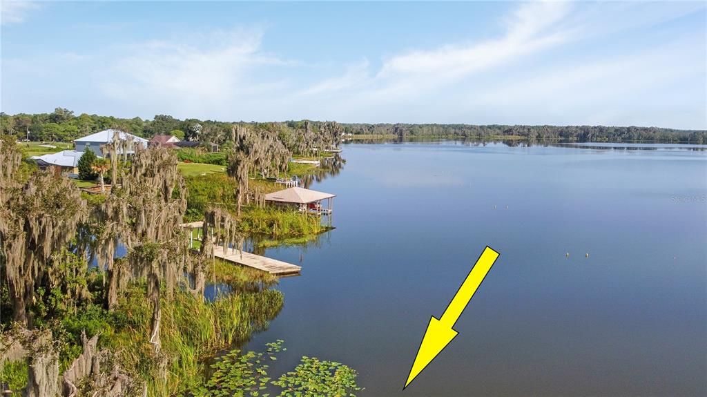 If you want to Build a High-End LAKEFRONT MANSION Like THESE in the picture, you can Build Farther Back into the Wetlands Area of the Land Almost Down to the LAKE (as Other Nearby Mansions Have Done) by paying the County an Additional $84,000 Wetlands Mitigation Credit and STILL have a Gorgeous, Affordable LAKEFRONT Home Built Nearly on the Water!
