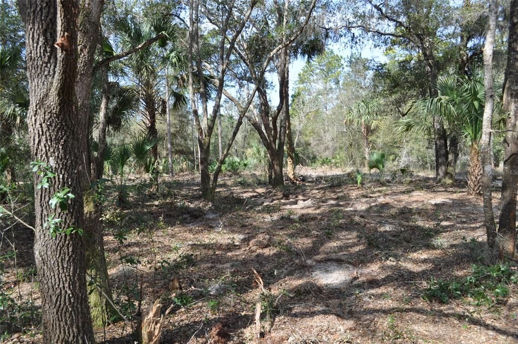 Recently Sold: $26,000 (1.14 acres)