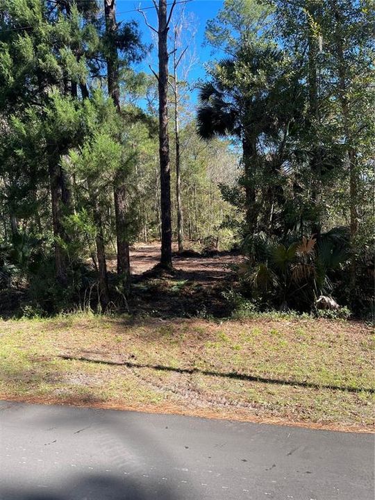 最近售出: $20,900 (0.33 acres)