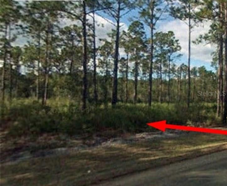 Vendido Recientemente: $15,497 (0.91 acres)