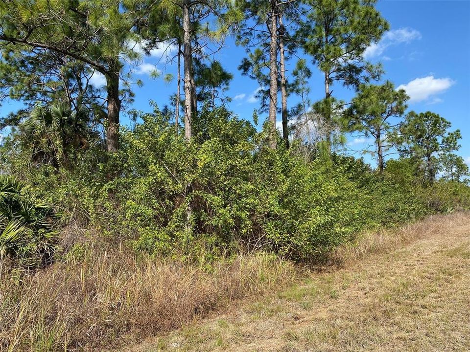 Recently Sold: $21,000 (0.22 acres)
