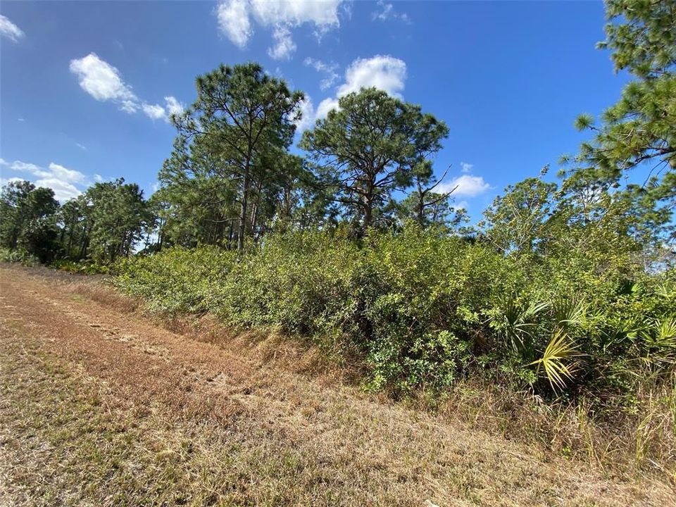 Recently Sold: $21,000 (0.22 acres)