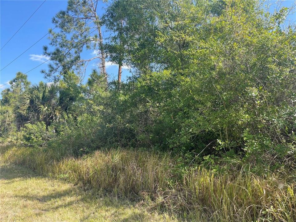 Recently Sold: $13,000 (0.31 acres)