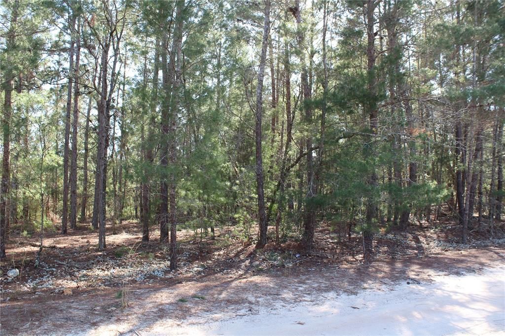 Recently Sold: $6,000 (0.36 acres)