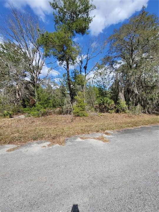 Recently Sold: $23,500 (0.31 acres)