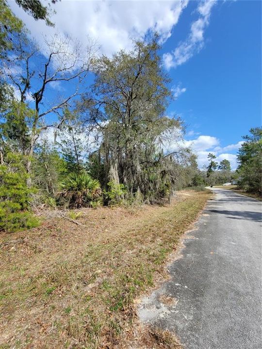 Recently Sold: $23,500 (0.31 acres)