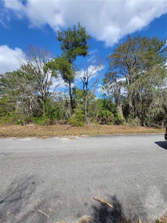 Vendido Recientemente: $23,500 (0.31 acres)