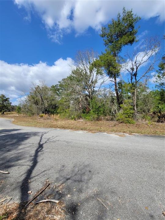 Recently Sold: $23,500 (0.31 acres)