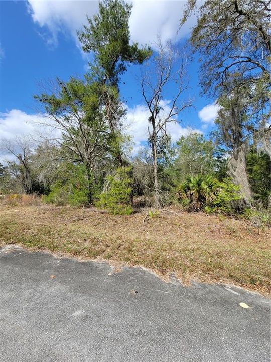 Recently Sold: $23,500 (0.31 acres)