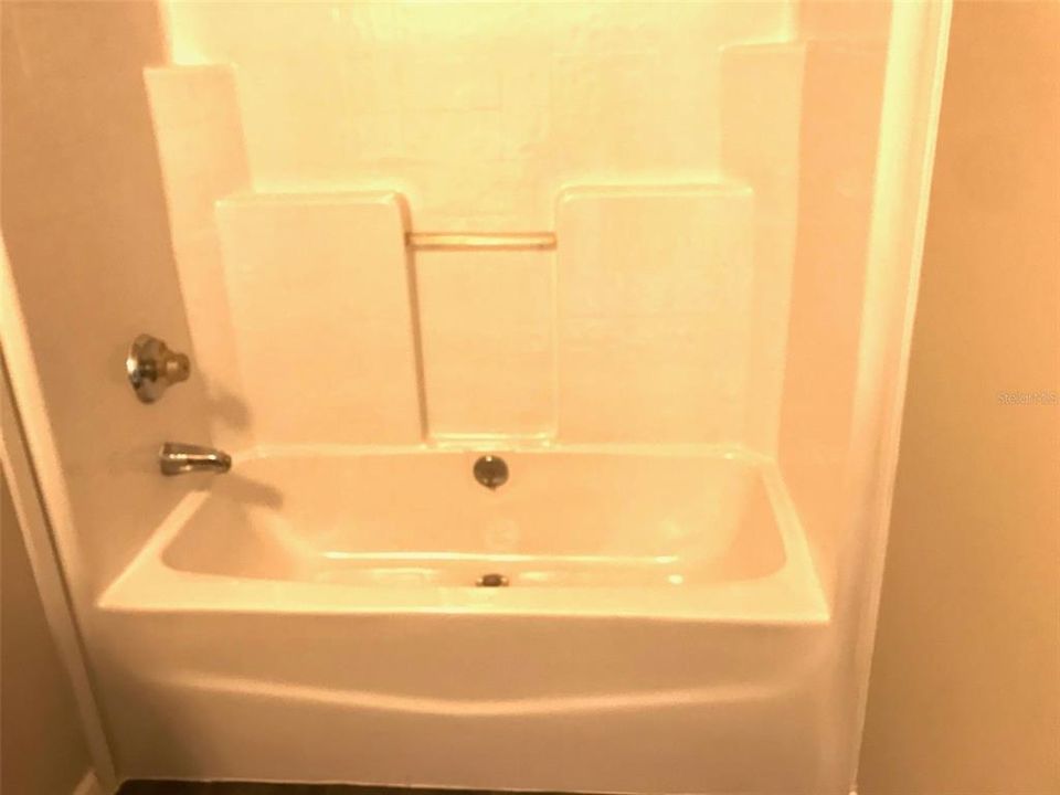 Hall bathroom tub shower combo