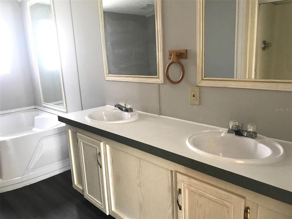 Primary bathroom vanity