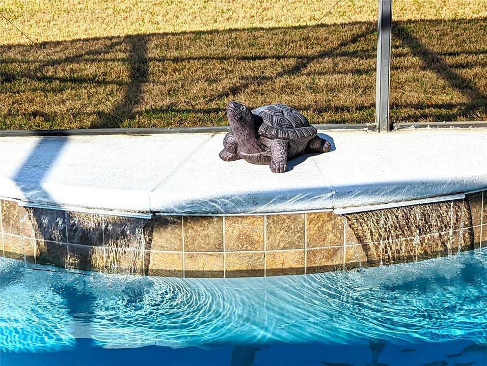 Pool Fountain