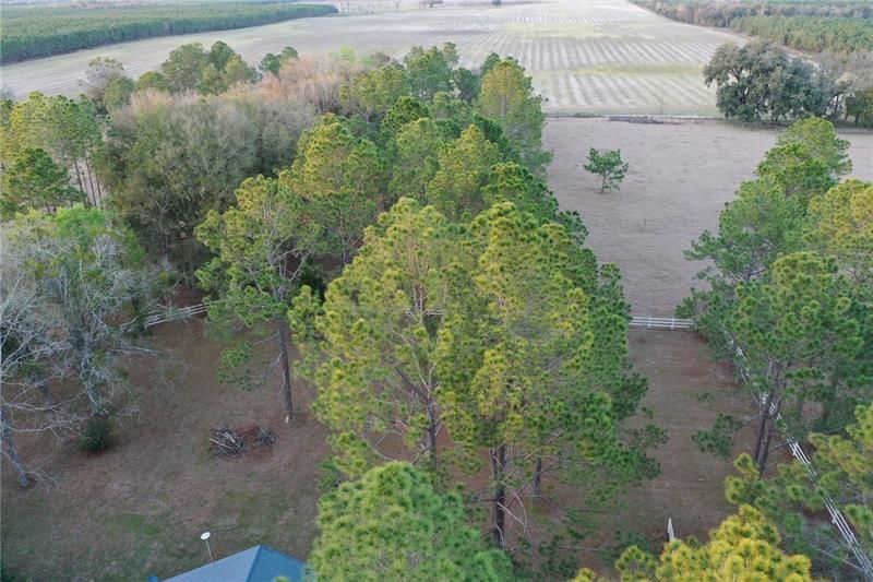 Aerial of the property