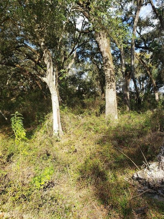 Vendido Recientemente: $190,000 (10.13 acres)