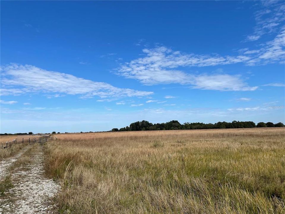 Недавно продано: $100,000 (5.00 acres)