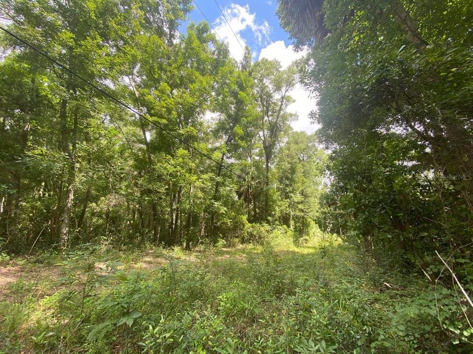 Recently Sold: $599,000 (8.24 acres)