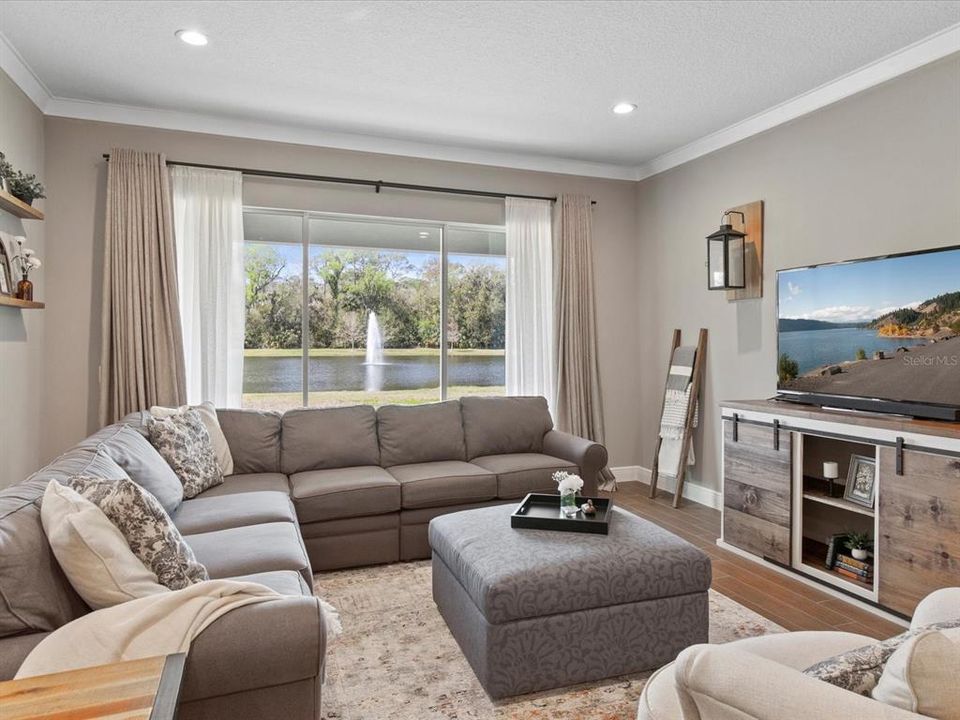 Family Room with Pond and Conservation Views