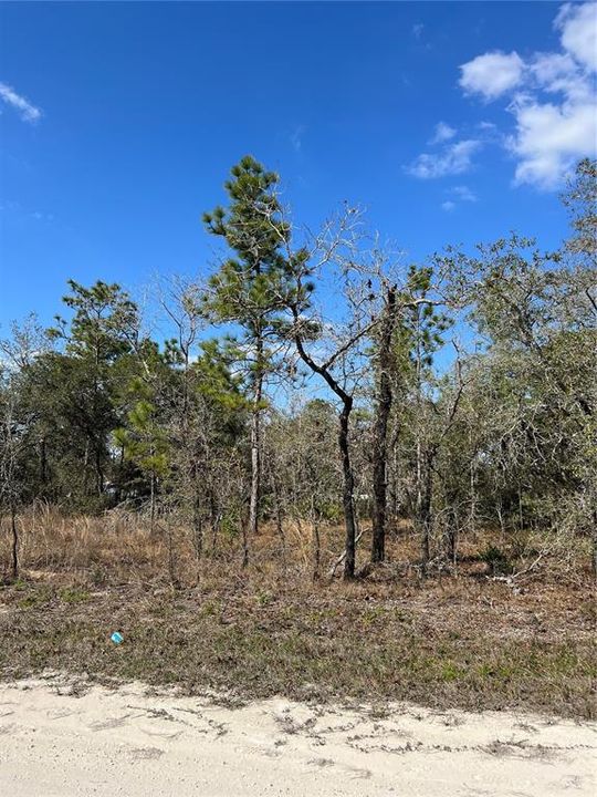 Recently Sold: $18,900 (0.46 acres)