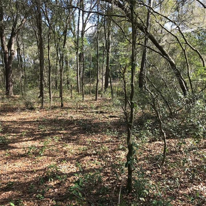 Recently Sold: $16,900 (1.07 acres)