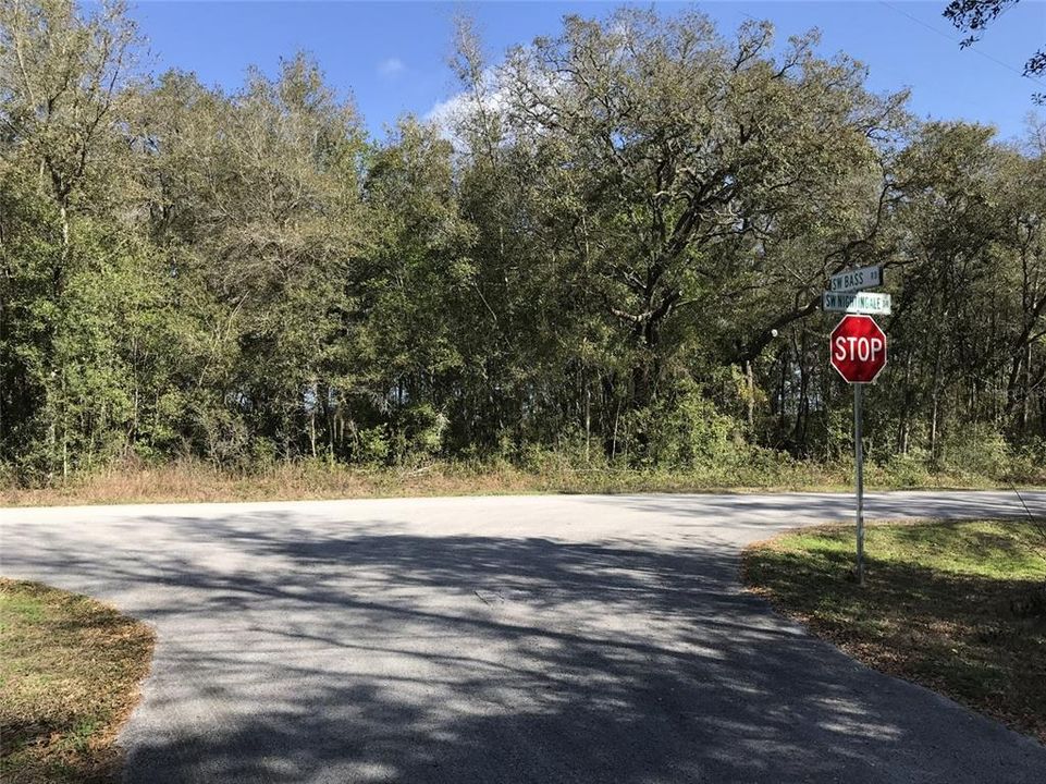 Recently Sold: $16,900 (1.07 acres)