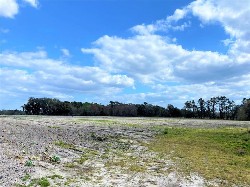En Venta: $599,900 (38.70 acres)