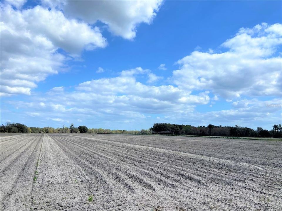 En Venta: $599,900 (38.70 acres)