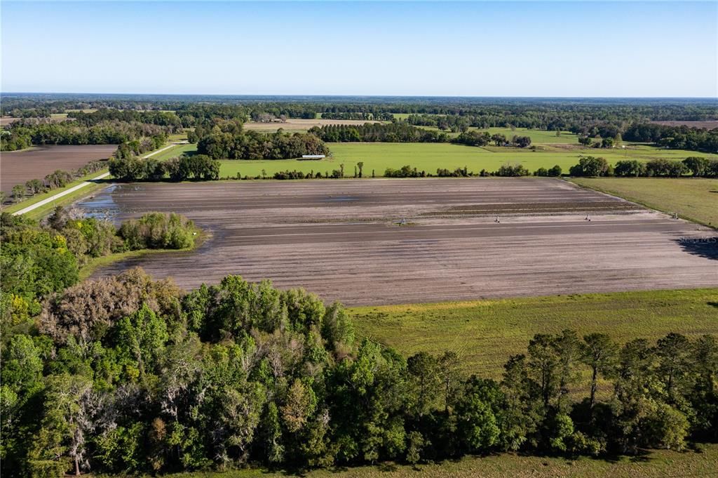 En Venta: $599,900 (38.70 acres)