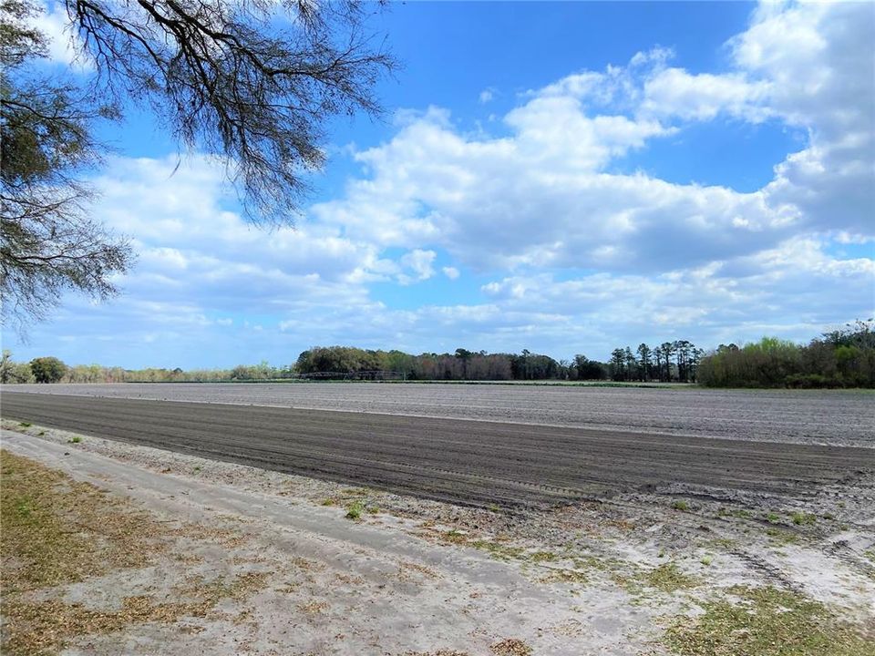En Venta: $599,900 (38.70 acres)